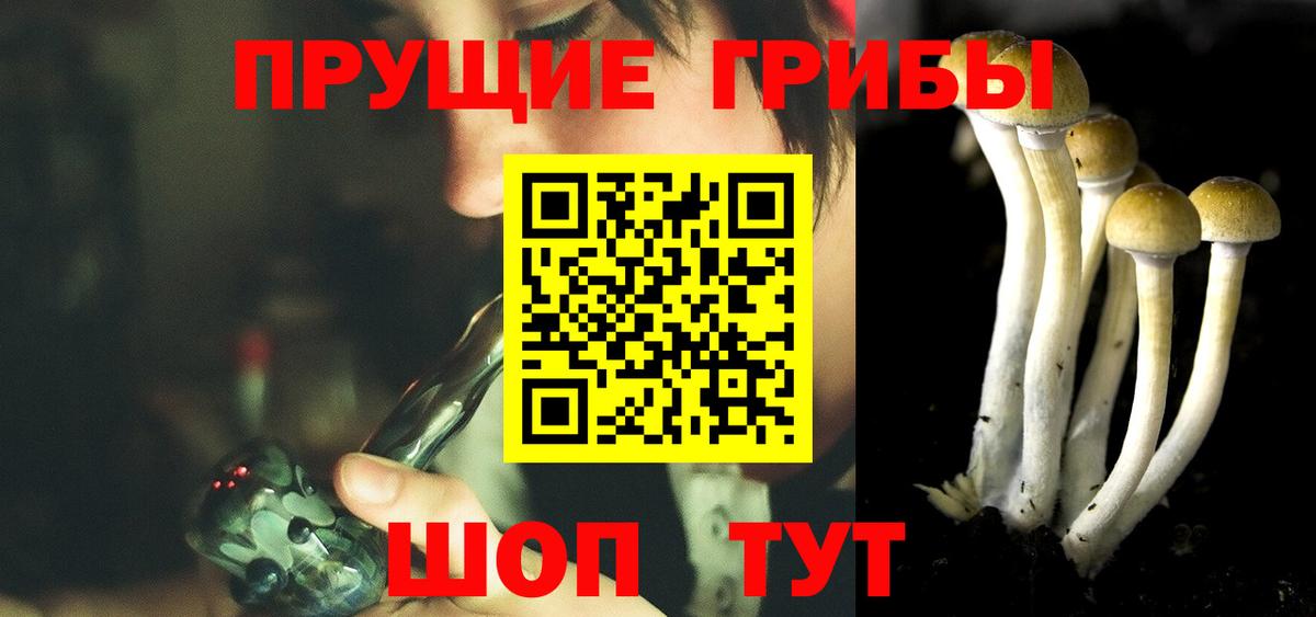 Галлюциногенные грибы Cubensis  Вход с VPN  Борисоглебск 