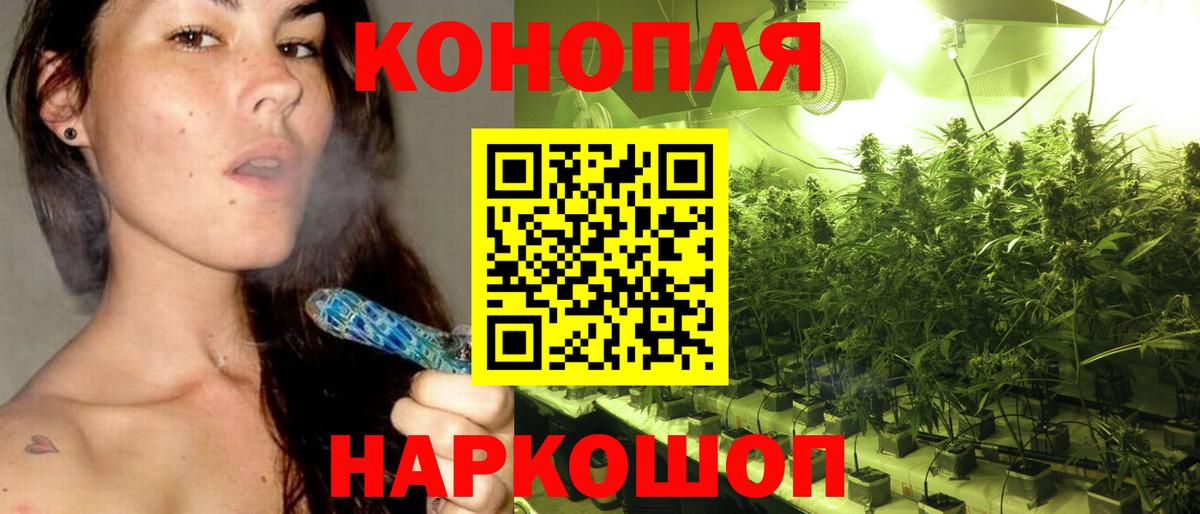 Бошки марихуана гибрид  Бошки Шишки сатива  Борисоглебск  Каннабис план  Вход с VPN  Канабис планчик 